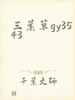 三叶草gy3543