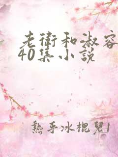 老卫和淑容1-40集小说