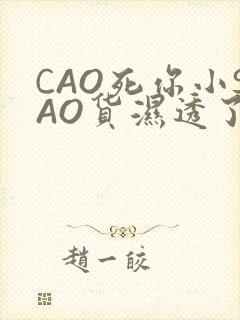 CAO死你小SAO货湿透了学长