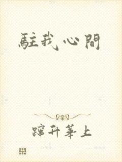 驻我心间