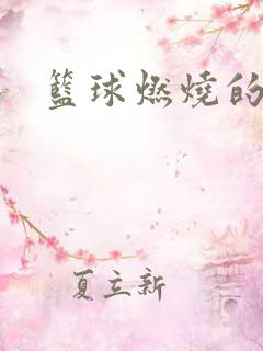 篮球燃烧的岁月