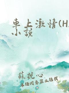 车上激情(H)小说