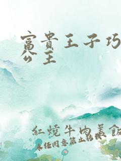 富贵王子巧遇穷公主