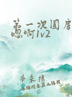 第一次圆房～h嗯啊1v2