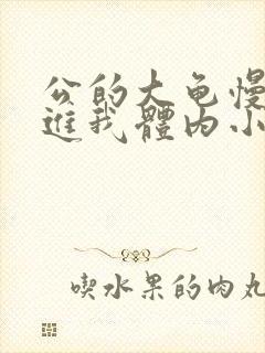 公的大龟慢慢挺进我体内小说