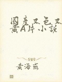 国产又色又爽又黄A片小说