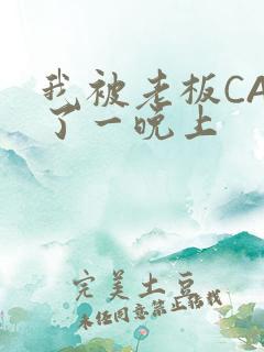 我被老板CAO了一晚上