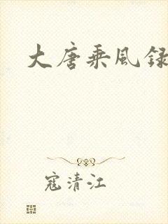 大唐乘风录
