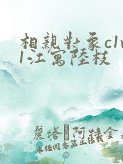 相亲对象c1v1江寓陆枝