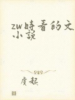 zw时看的文案小说