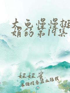 大龟慢慢挺进张娟的第19集