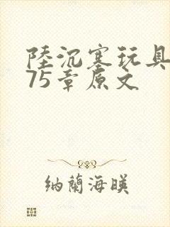 陆沉塞玩具高速75章原文