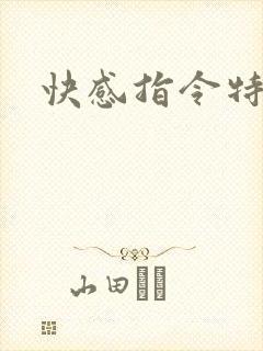 快感指令特别篇