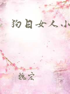 狗日女人小说