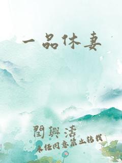 一品休妻