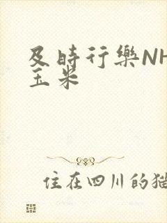 及时行乐NHP玉米