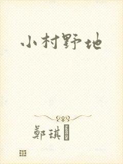 小村野地