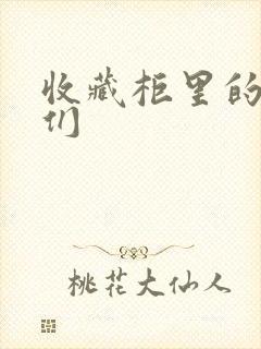 收藏柜里的男人们