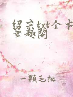 绍宋txt全本笔趣阁