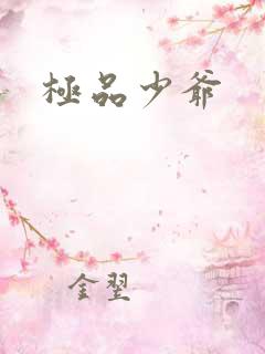 极品少爷