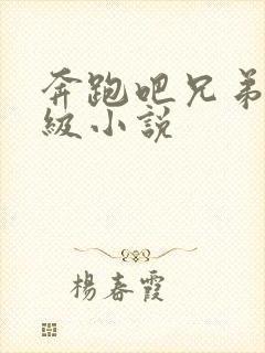 奔跑吧兄弟限制级小说