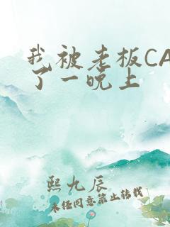 我被老板CAO了一晚上