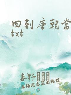 回到唐朝当皇帝txt