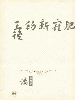 王的新宠肥婆皇后