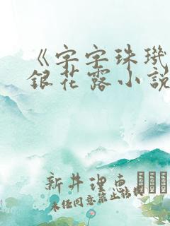 《字字珠玑》金银花露小说