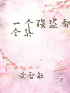 一个强盗都不留全集