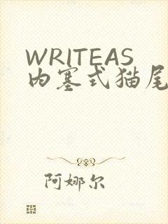 WRITEAS内塞式猫尾