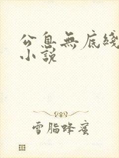 公息无底线的爱小说