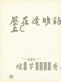 压在透明的玻璃上C