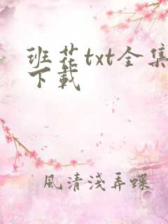 班花txt全集下载