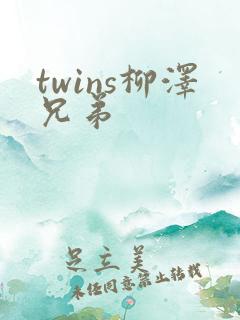 twins柳泽兄弟