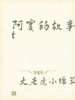 阿宾的故事txt
