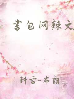 书包网辣文