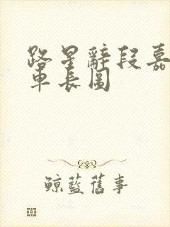 路星辞段嘉衍肉车长图