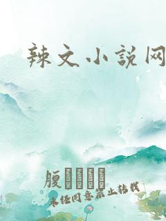 辣文小说网