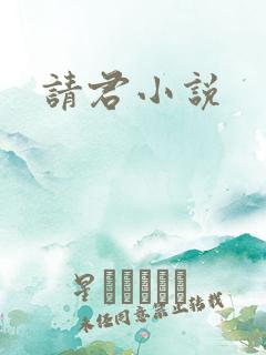 请君小说