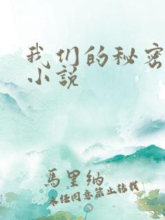 我们的秘密泰剧小说