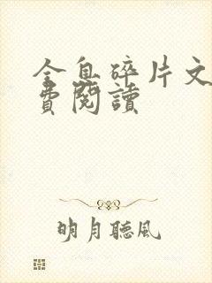 全息碎片文轩免费阅读