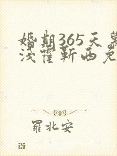 婚期365天慕浅霍靳西免费阅读