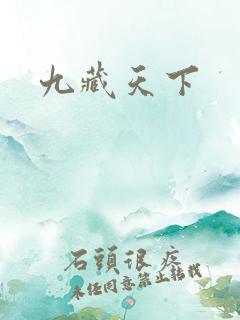 九藏天下