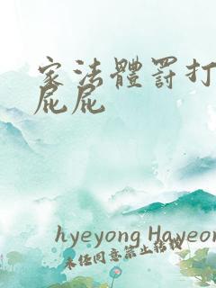 家法体罚打丫鬟屁屁