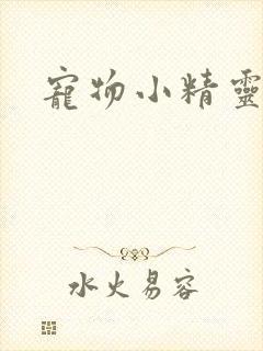 宠物小精灵之梦