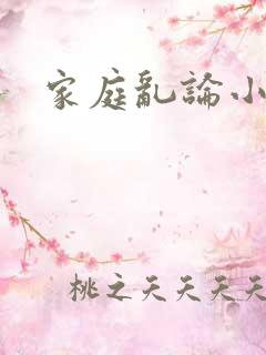 家庭乱论小说