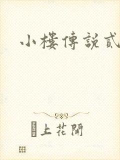 小楼传说贰