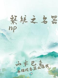 系统之名器攻略np