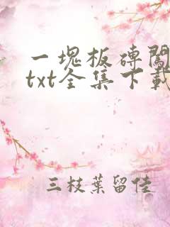 一块板砖闯仙界txt全集下载